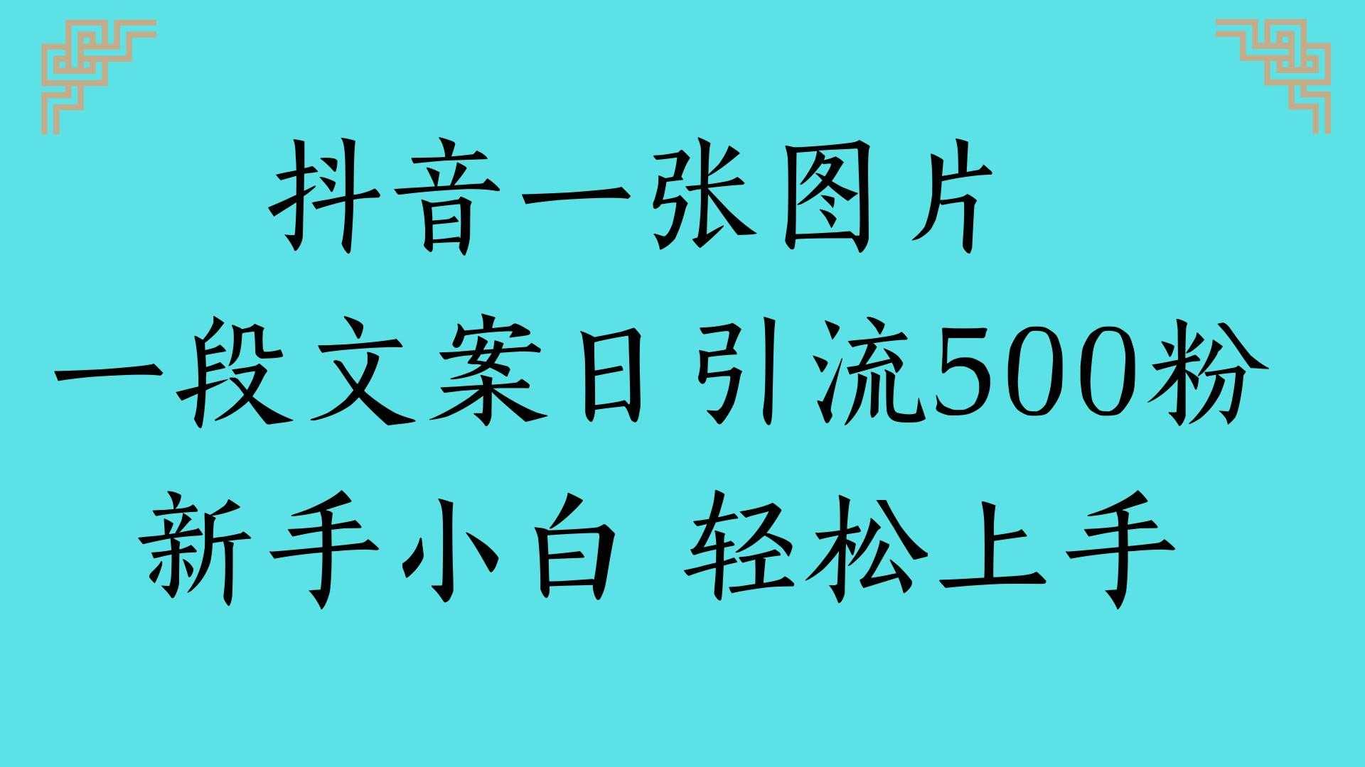 抖音一张图片 一段文案日引流500粉新手小白 轻松上手